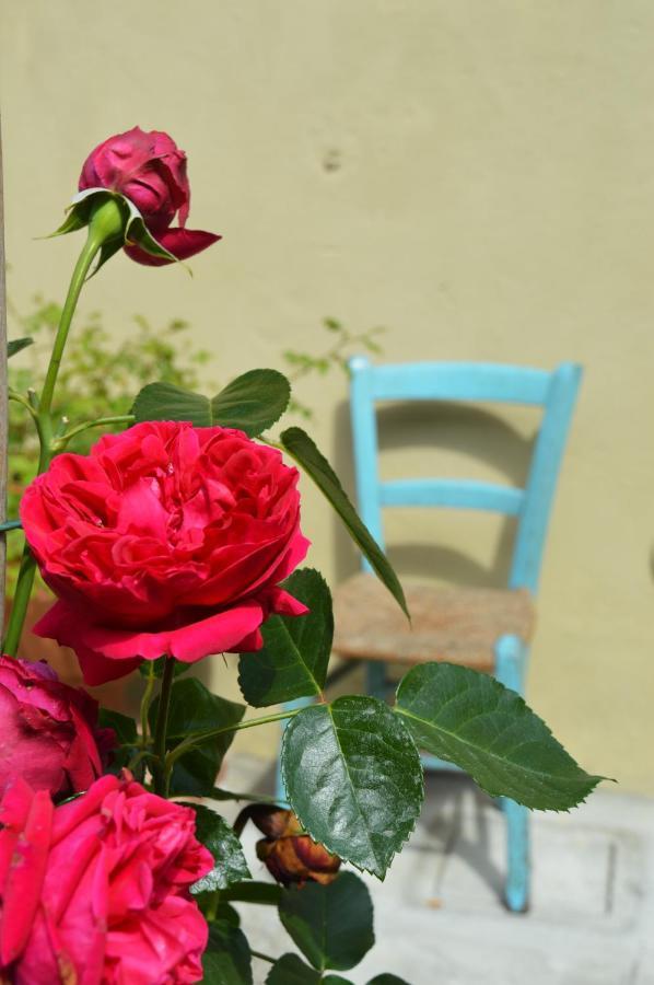 B&B Lady Cocca Savio di Ravenna Exteriér fotografie