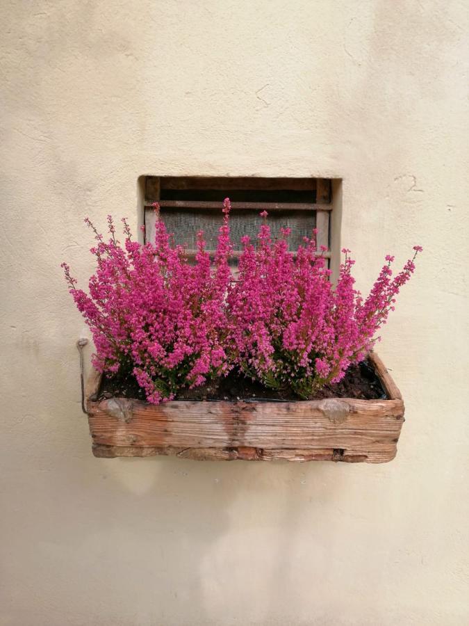 B&B Lady Cocca Savio di Ravenna Exteriér fotografie