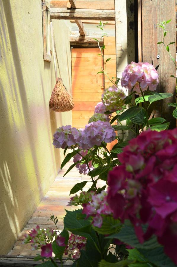 B&B Lady Cocca Savio di Ravenna Exteriér fotografie
